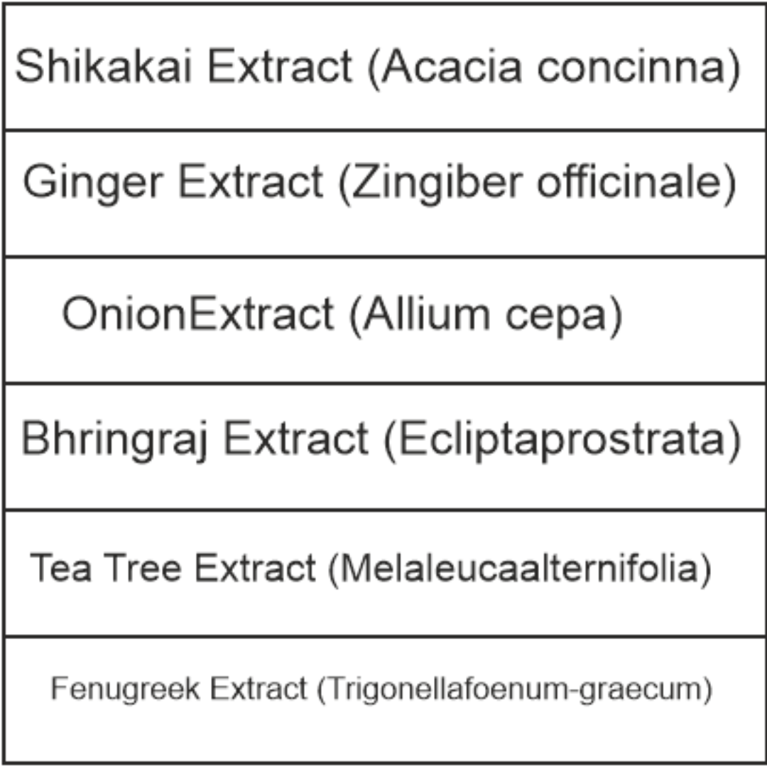 ANTI DANDRUFF SHAMPOO BOX